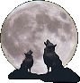 wolvesmoon